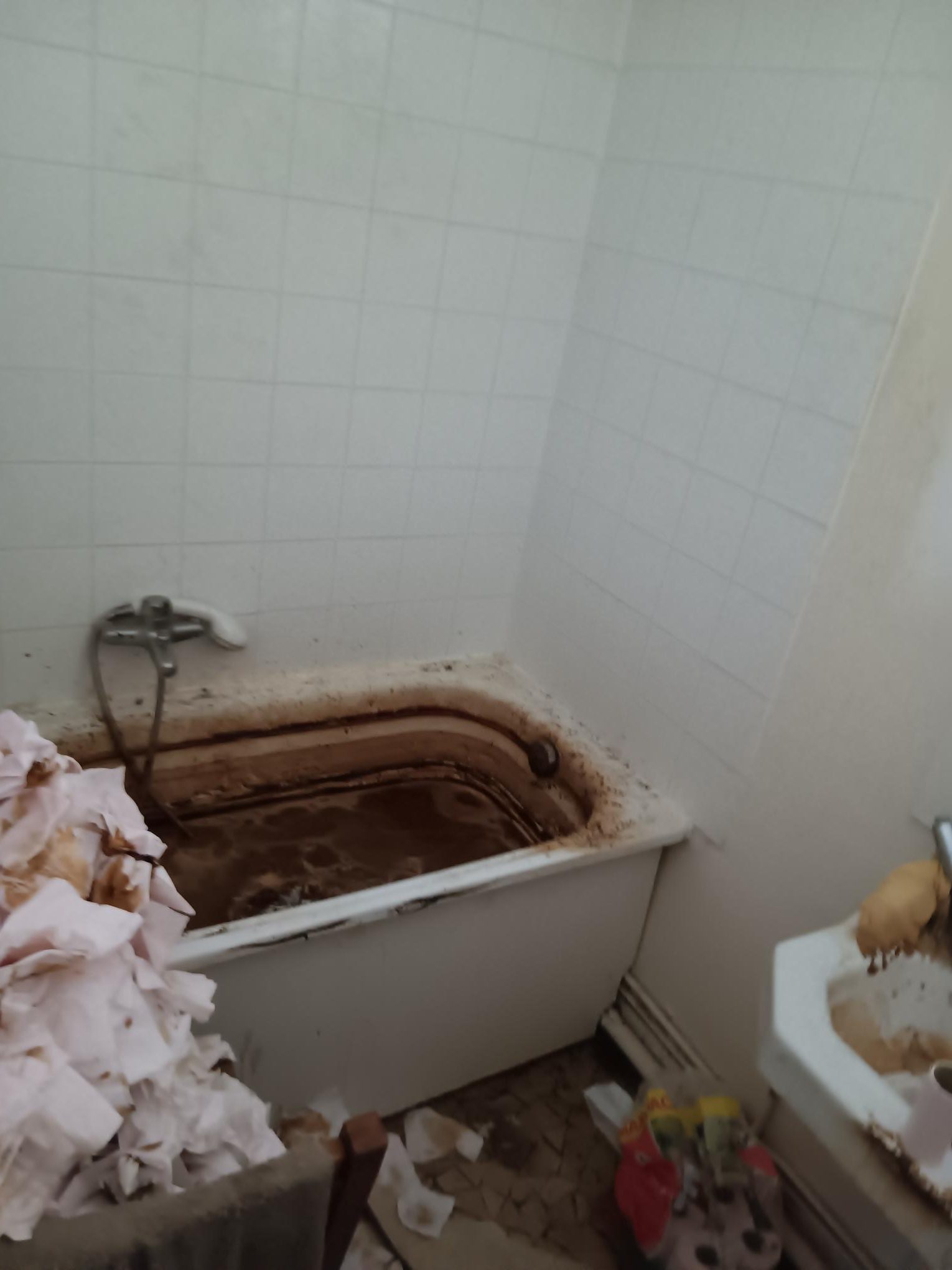 gallery-3 20241206 095805 Rotated