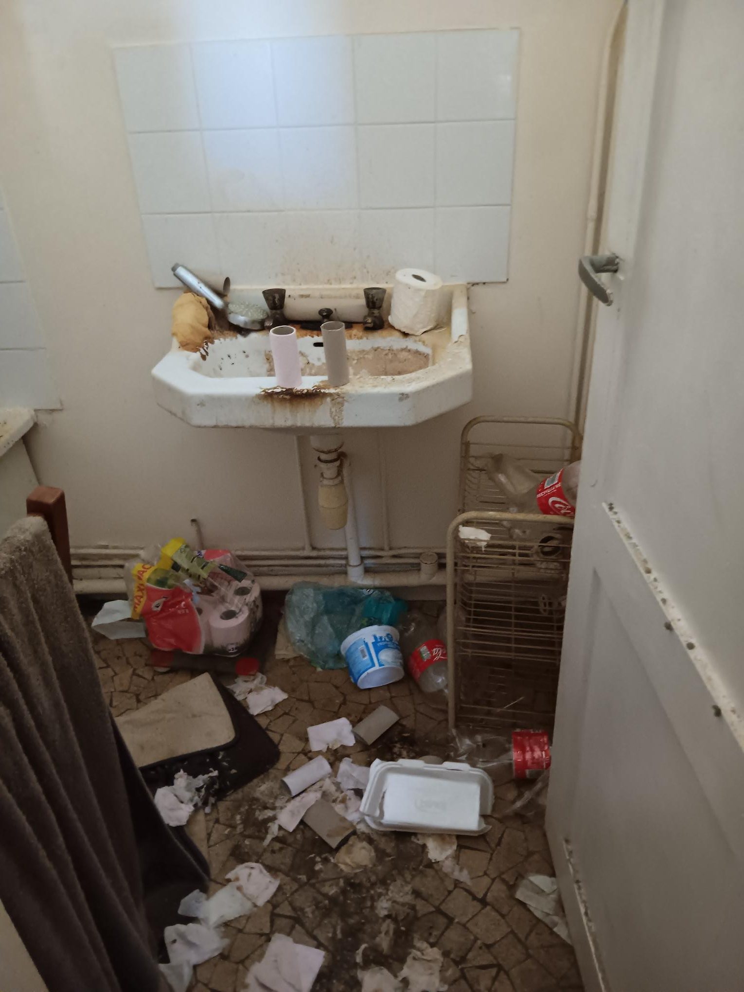 gallery-4 20241206 095809 Rotated